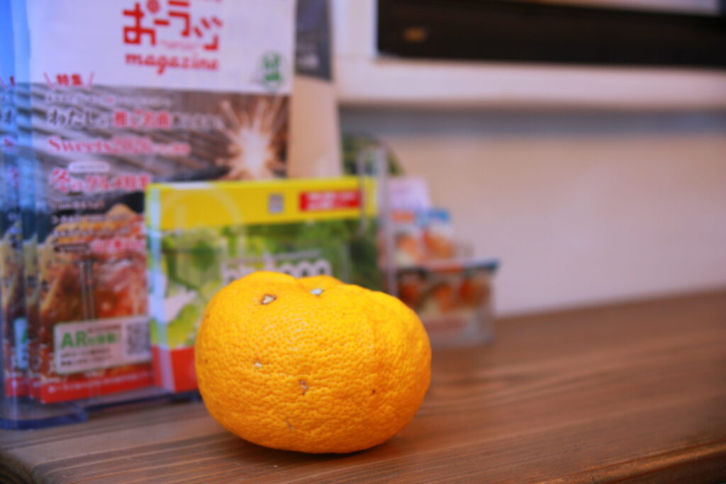 栃木県小山市　間々田八幡宮　初詣・新年祈願祭に出店しました【KC11小山のきそば号】